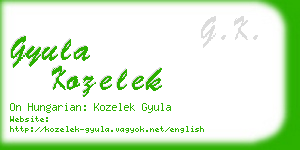 gyula kozelek business card